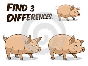 Find differences game pig vector illustration