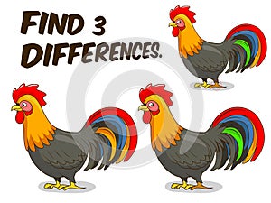 Find differences game rooster vector illustration