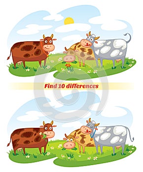 Find 10 differences photo