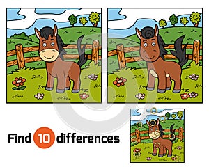 Find differences (horse and background)