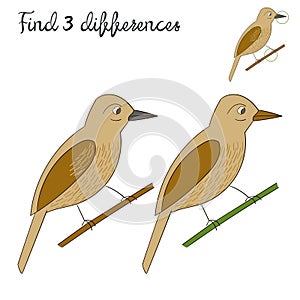 Find differences kids layout for game bird