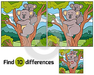 Find differences (koala)