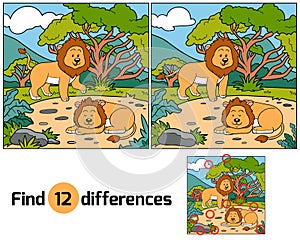 Find differences (lions)