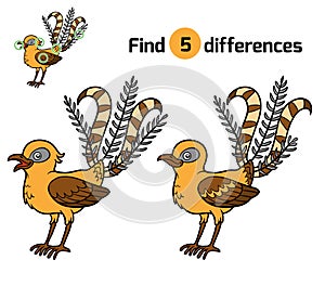 Find differences, Lyrebird