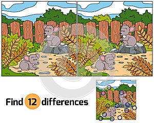 Find differences (mice)