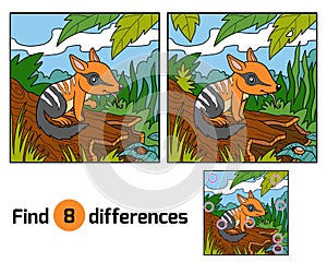 Find differences, Numbat