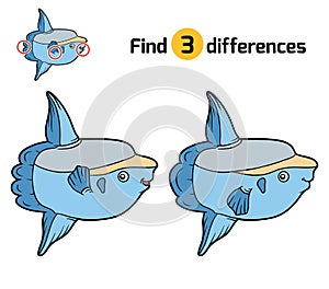 Find differences, Ocean sunfish
