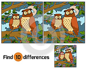 Find differences (owl)