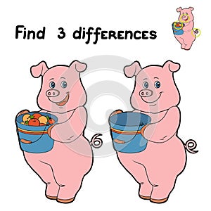 Find 3 differences (pig) photo