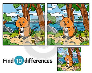 Find differences, Quokka