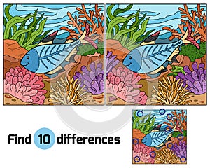 Find differences (x-ray fish)