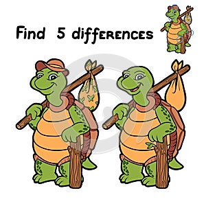 Find differences (turtle)