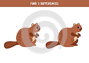 Find 3 differences between two cute cartoon beavers