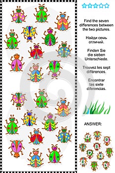 Find the differences visual puzzle - bugs and beetles