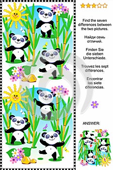 Find the differences visual puzzle - panda bears photo