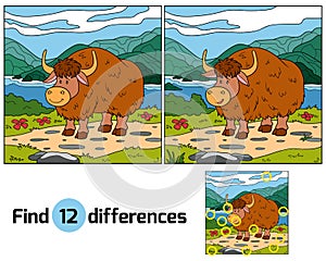 Find differences (yak)