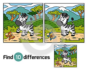 Find differences (zebra and background)