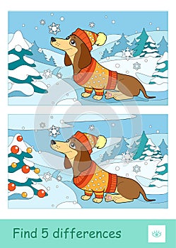 Find five differences quiz learning children game with image of a dog in hat and sweater sitting in snow near the spruce