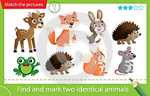 Find and mark two identical animals. Puzzle for kids. Matching game, education game for children. Color images of wild animals.