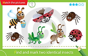 Find and mark two identical items. Puzzle for kids. Matching game, education game for children. Color images of cartoon insects.