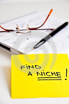 Find a niche market