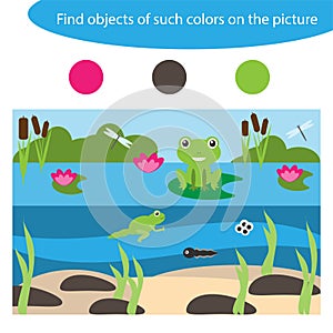 Find objects of same colors, pond life, game for children in cartoon style, education game for kids, preschool worksheet activity