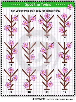 Find the pairs of identical pictures with first spring flowers