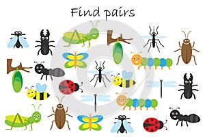 Find pairs of identical pictures, fun education game with insects theme for children, preschool worksheet activity for kids, task