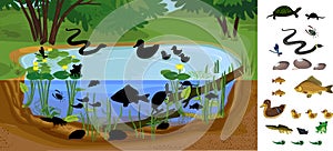 Find the right shade. Ecosystem of pond with different animals birds, insects, reptiles, fishes, amphibians