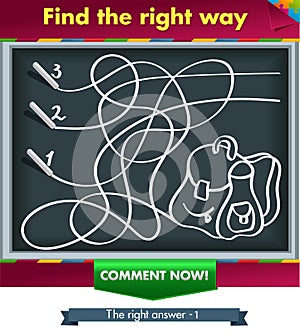 Find the right way -3