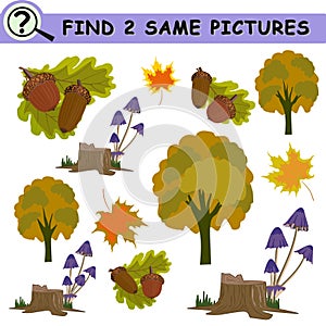 Find same pictures with cartoon autumn leaves, mushrooms, acorns, trees.