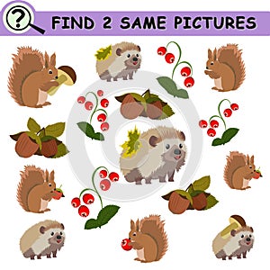 Find same pictures with cartoon hedgehog, squirrel, berries.