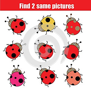 Find the same pictures children educational game with ladybirds