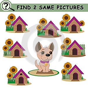 Find same pictures with puppy, doghouses, sunflowers.