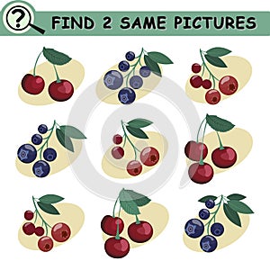 Find same pictures with red and blue berries branches.