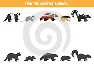 Find shadows of cute North American animals. Educational logical game for kids.