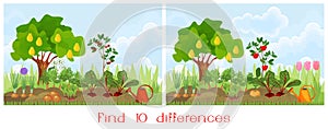 Find ten differences visual pictures. A game for children