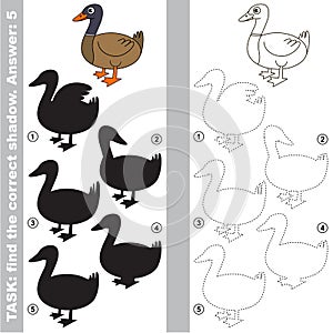 Find true correct shadow, the educational kid game.