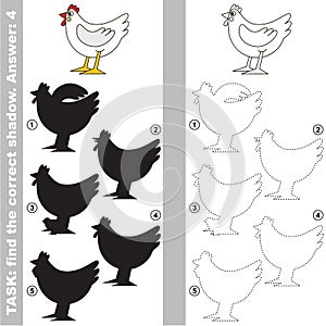 Find true correct shadow, the educational kid game.