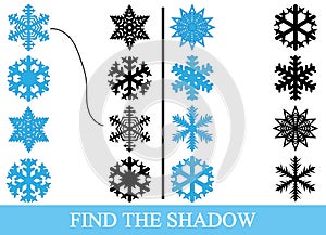 Find the true shadows silhouettes of snowflakes. Education
