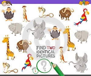 Find two identical animals game for kids