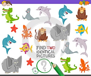 Find two identical animals task for children