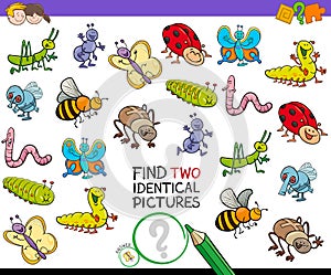 Find two identical bug pictures game for kids