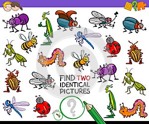 Find two identical cartoon insects game for kids