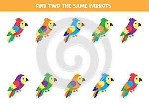 Find two identical colorful parrots. Educational game for kids