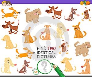 Find two identical dogs activity for children