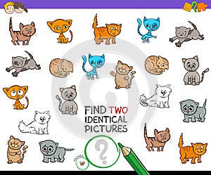 Find two identical kitten pictures game for kids