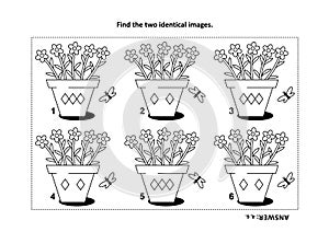 Find the two identical pictures with potted flowers visual puzzle and coloring page