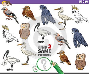 Find two same cartoon birds educational game