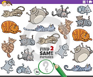 Find two same cartoon cats animal characters educational game